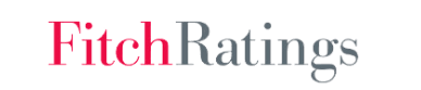 Sección-MediosPrensa-fitch.png